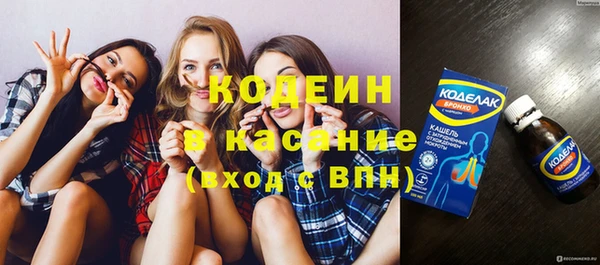прущий лед Богданович